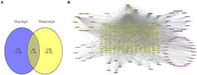 Network pharmacology and molecular docking approach to elucidate the mechanisms of safflower, phellodendron, scutellaria baicalensis, coptis, and gardenia in hand–foot syndrome